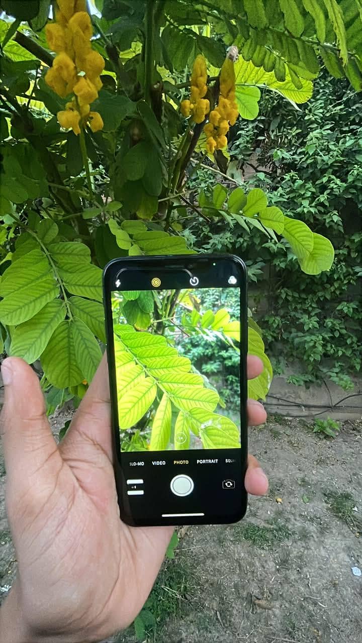 Apple iPhone X 4