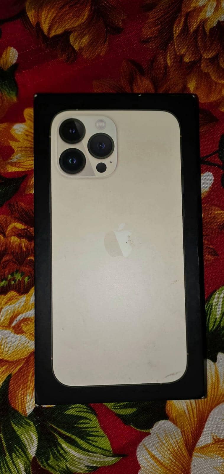 Apple iPhone 13 Pro Max 1