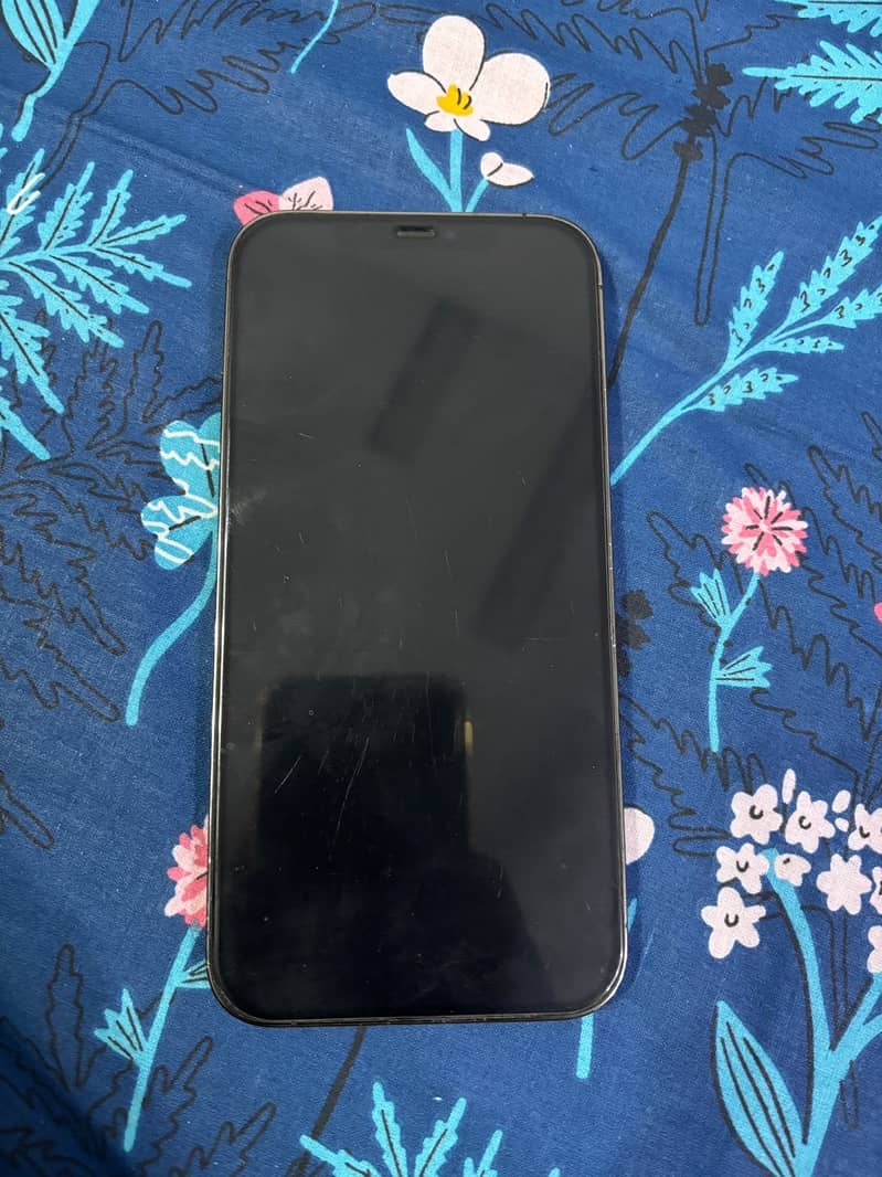 Apple iPhone 12 Pro Max 1