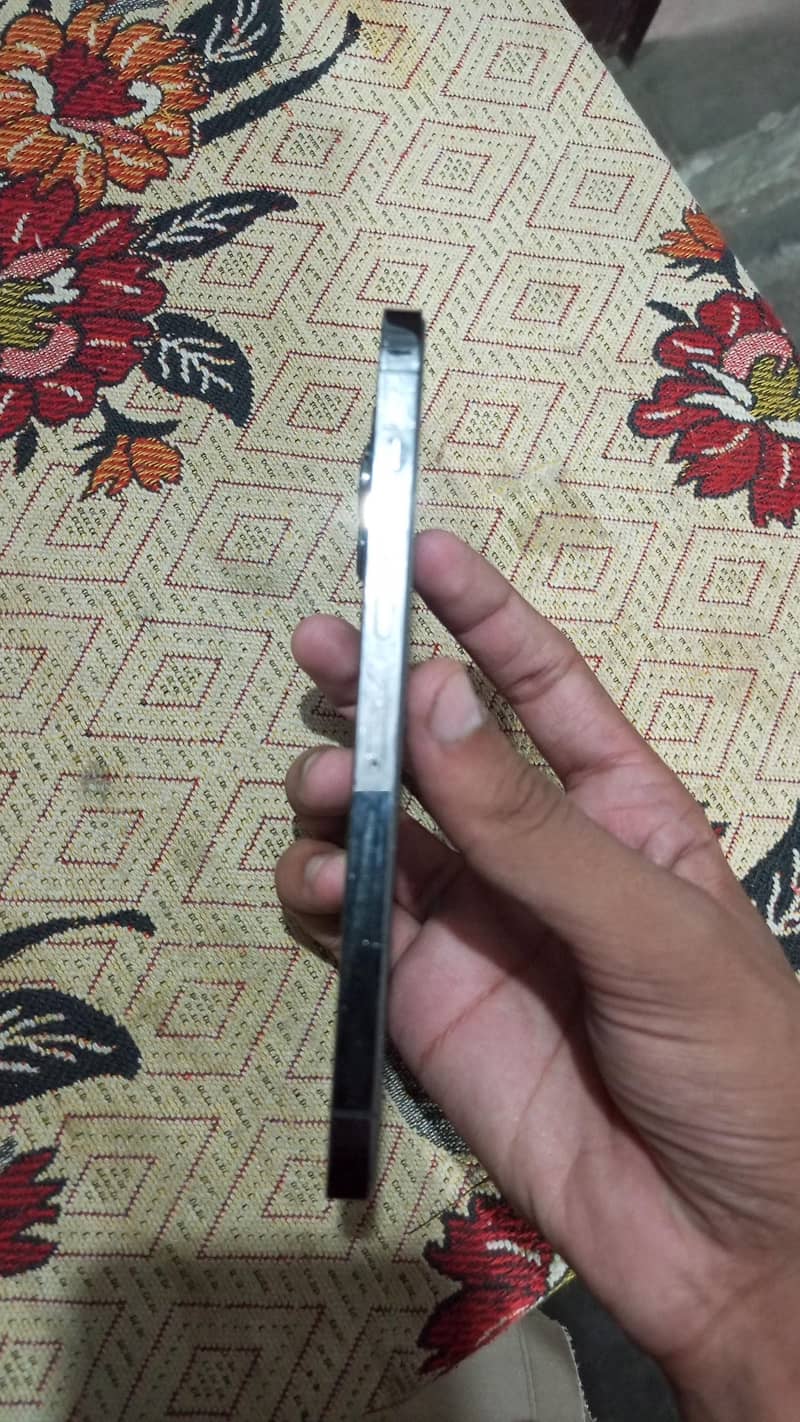 Apple iPhone 13 Pro Max 1