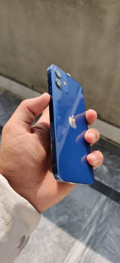 Apple iPhone 12