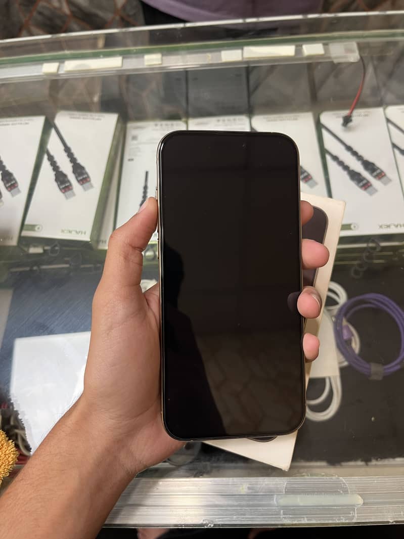 Apple iPhone 16 Pro Max 1