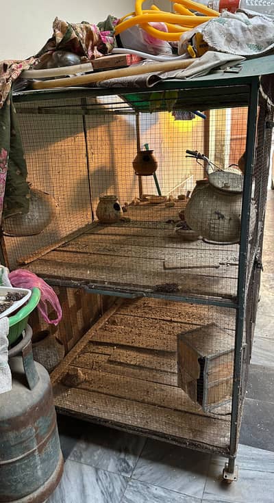 parrots cage