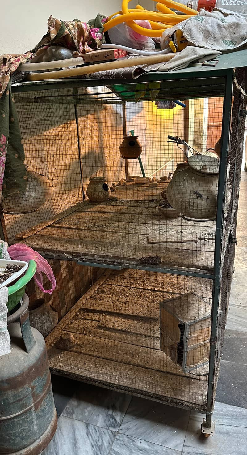 parrots cage 0