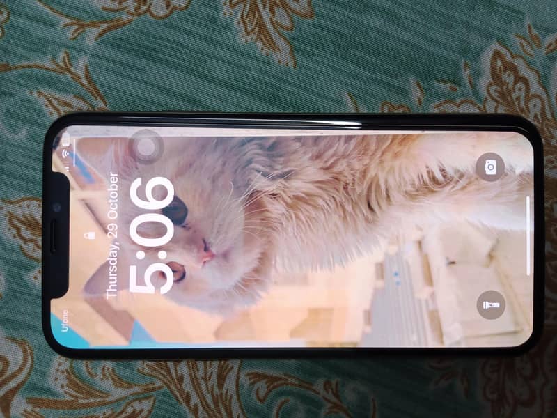 Apple iPhone XS 1