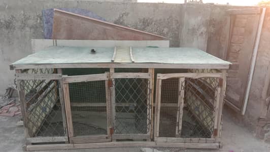 hen cage/murgiyon ka pinjra/مرغیوں کا پنجرہ