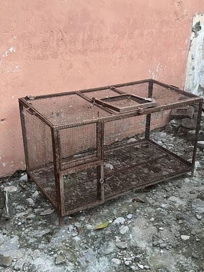 Complete setup for sale Peacock, cocktail, love birds, fishery, hen