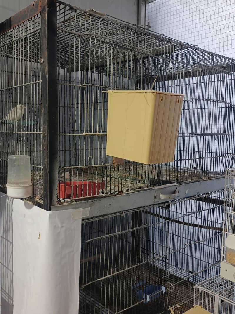 Cage For Sale Galvanized wire - Cages, Crates & Doors - 1121010194