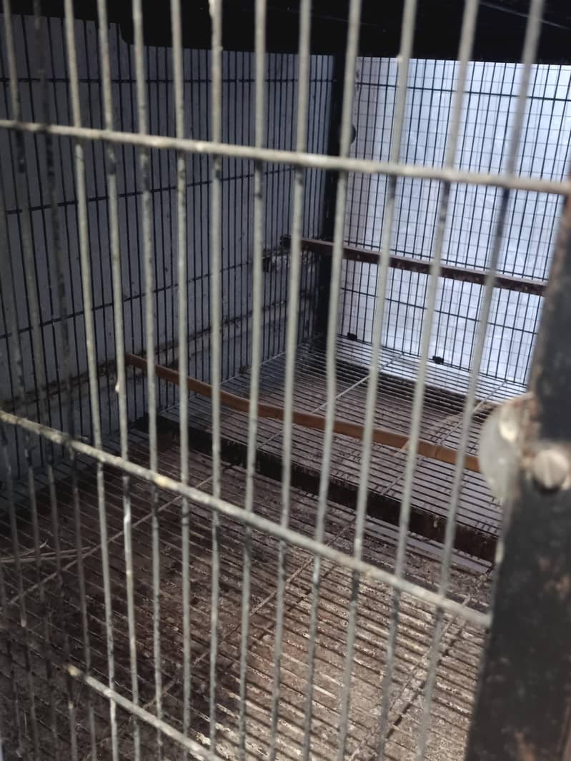 Cage For Sale Galvanized wire - Cages, Crates & Doors - 1121010194