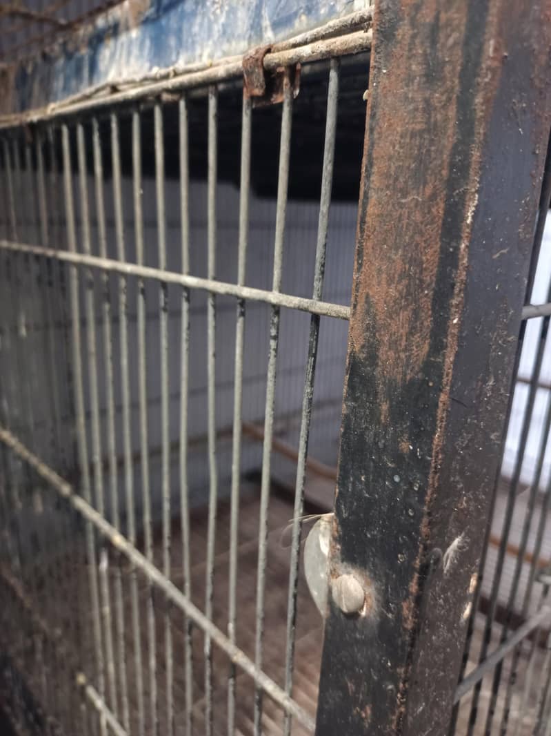 Cage For Sale Galvanized wire - Cages, Crates & Doors - 1121010194
