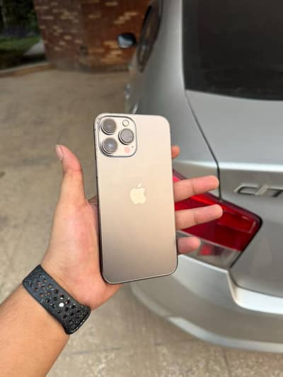 Apple iPhone 13 Pro Max