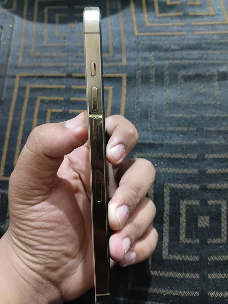 Apple iPhone 12 Pro Max 0