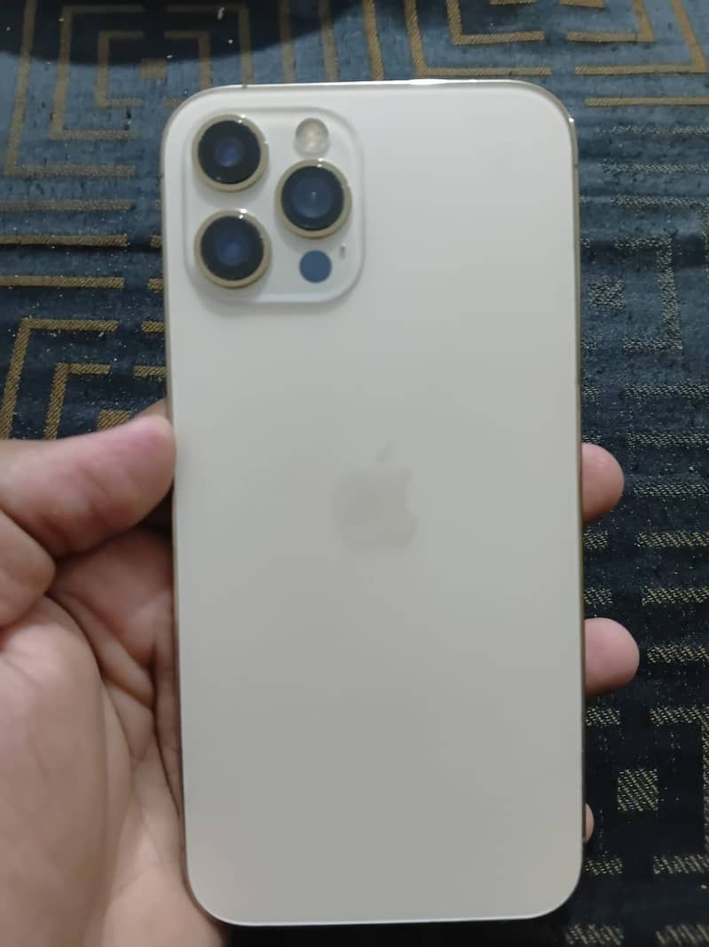 Apple iPhone 12 Pro Max 1