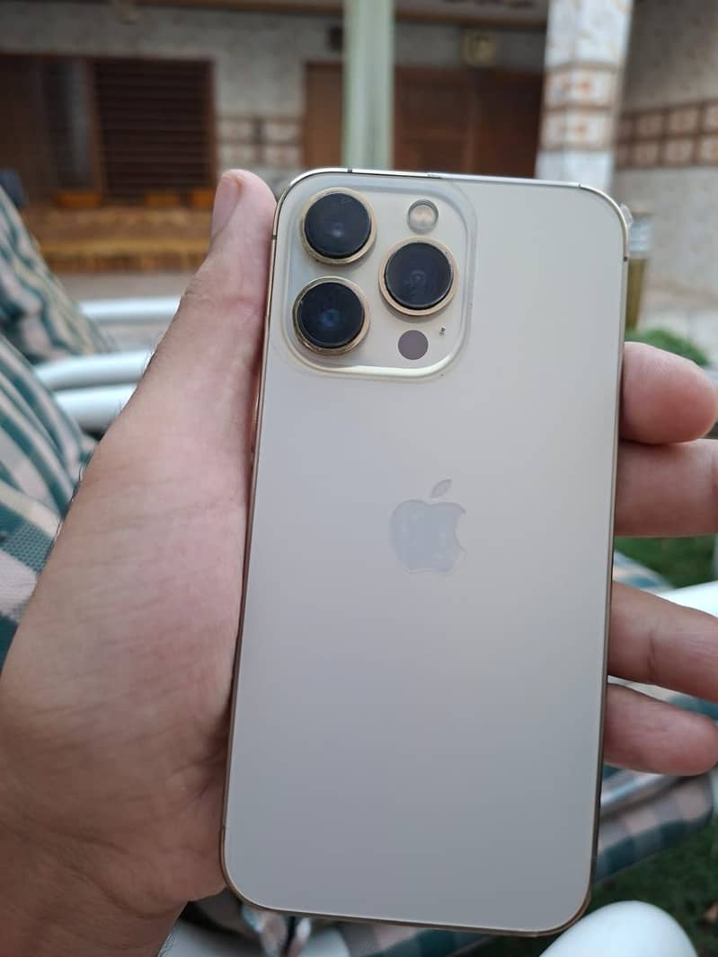 Apple iPhone 13 Pro 0