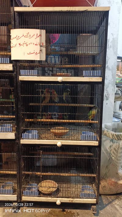 CAGE FOR SALE