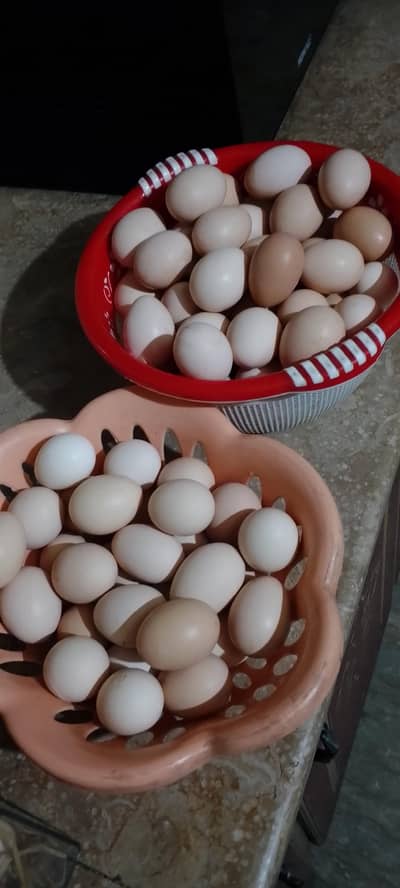 ghr k pure desi fartail eggs available hain