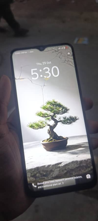 Vivo Y17s