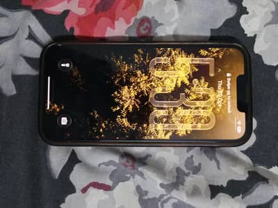 Apple iPhone 13