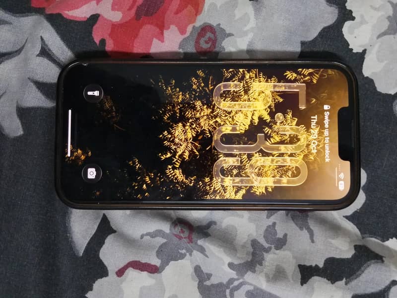 Apple iPhone 13 0