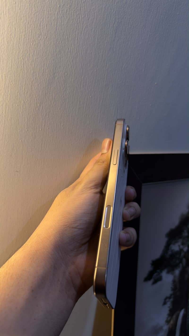 Apple iPhone 16 Pro Max 1