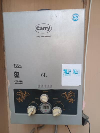 Instant gas Geyzer