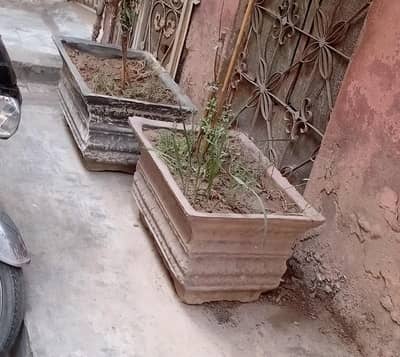 FLOOWER GAMLA SALE