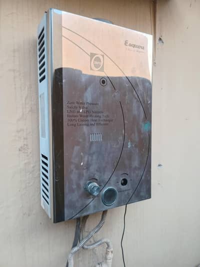 Instant Gas Geyzer