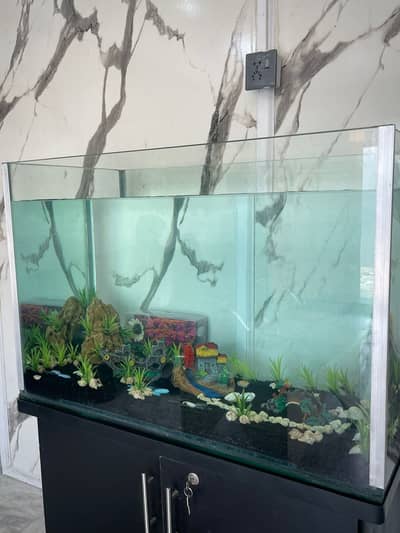 Aquarium 10/10