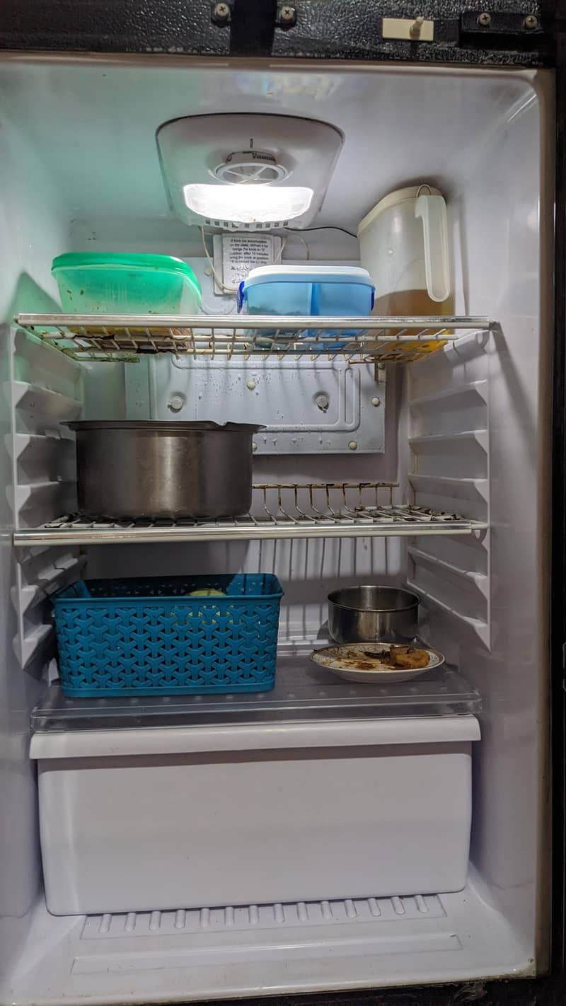 waves fridge 1