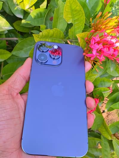 Apple iPhone 14 Pro Max Dual SIM Official pta 256Gb Urgent sale