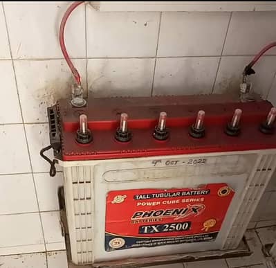 Phoenix tall tubular TX 2500