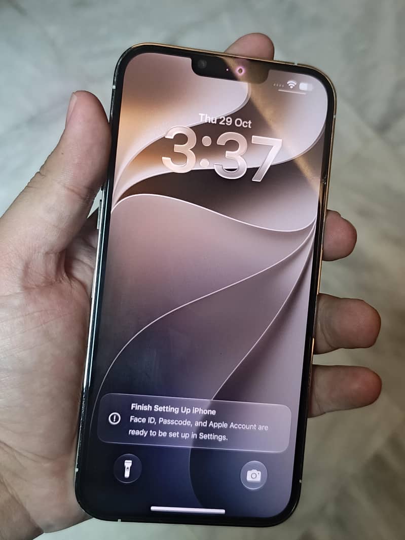 Apple iPhone 13 Pro Max 1