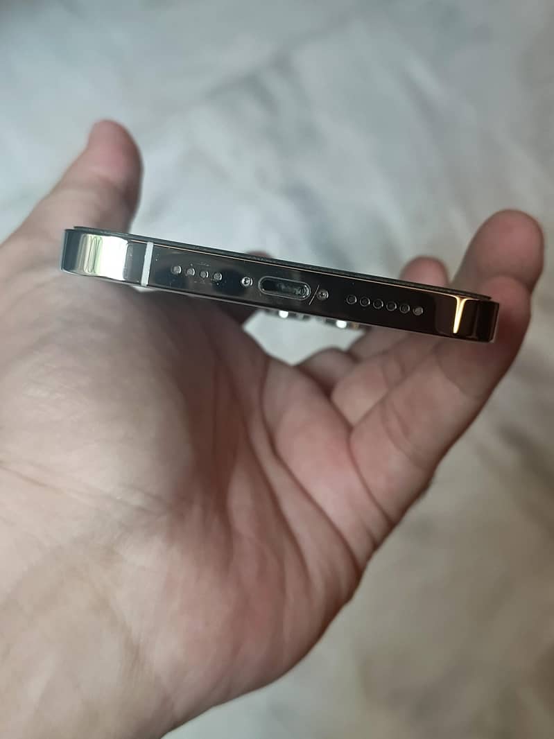 Apple iPhone 13 Pro Max 6