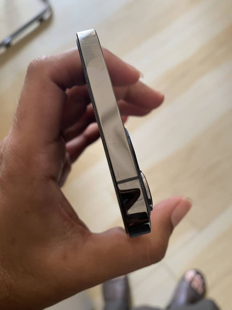 Apple iPhone 12 Pro Max 1