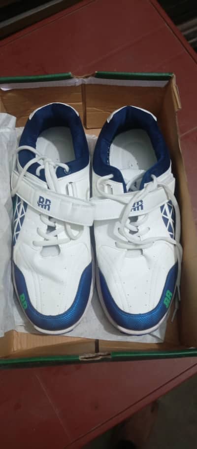 Cricket Shoes Like New Condition