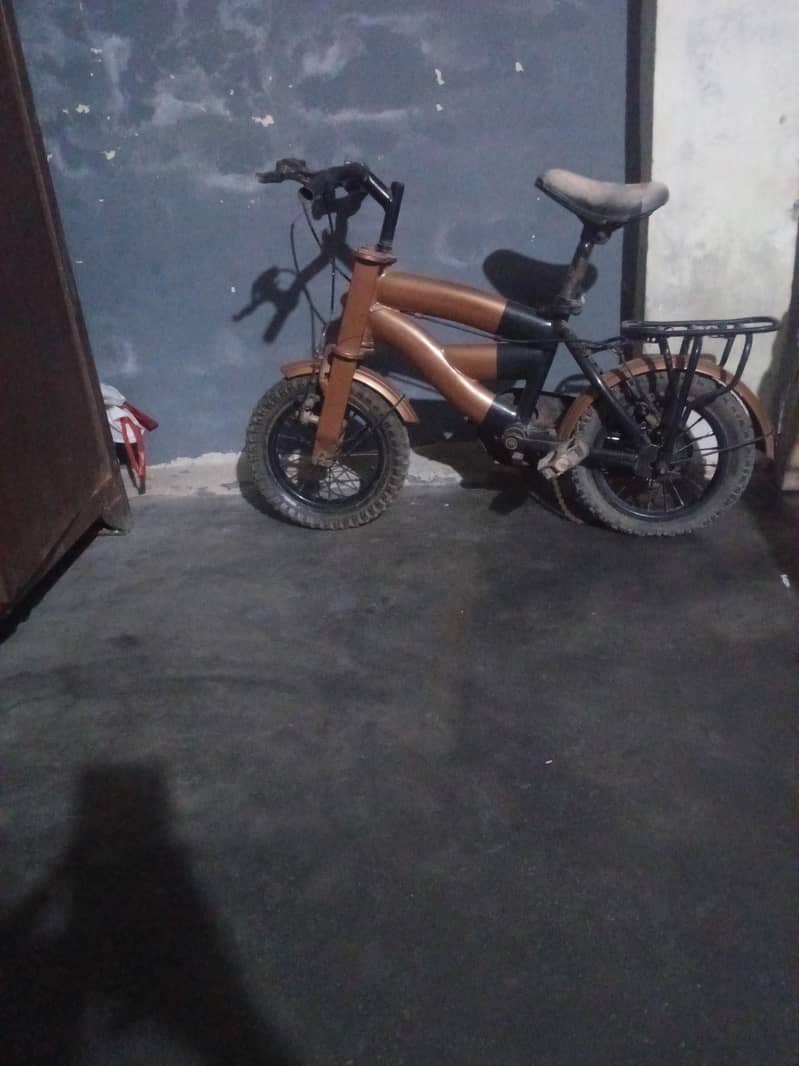 bicycle 0