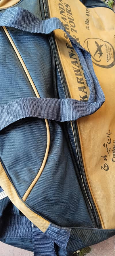travel bag. . . and pictures cover case (Large size)