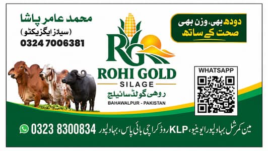 Rohi Gold