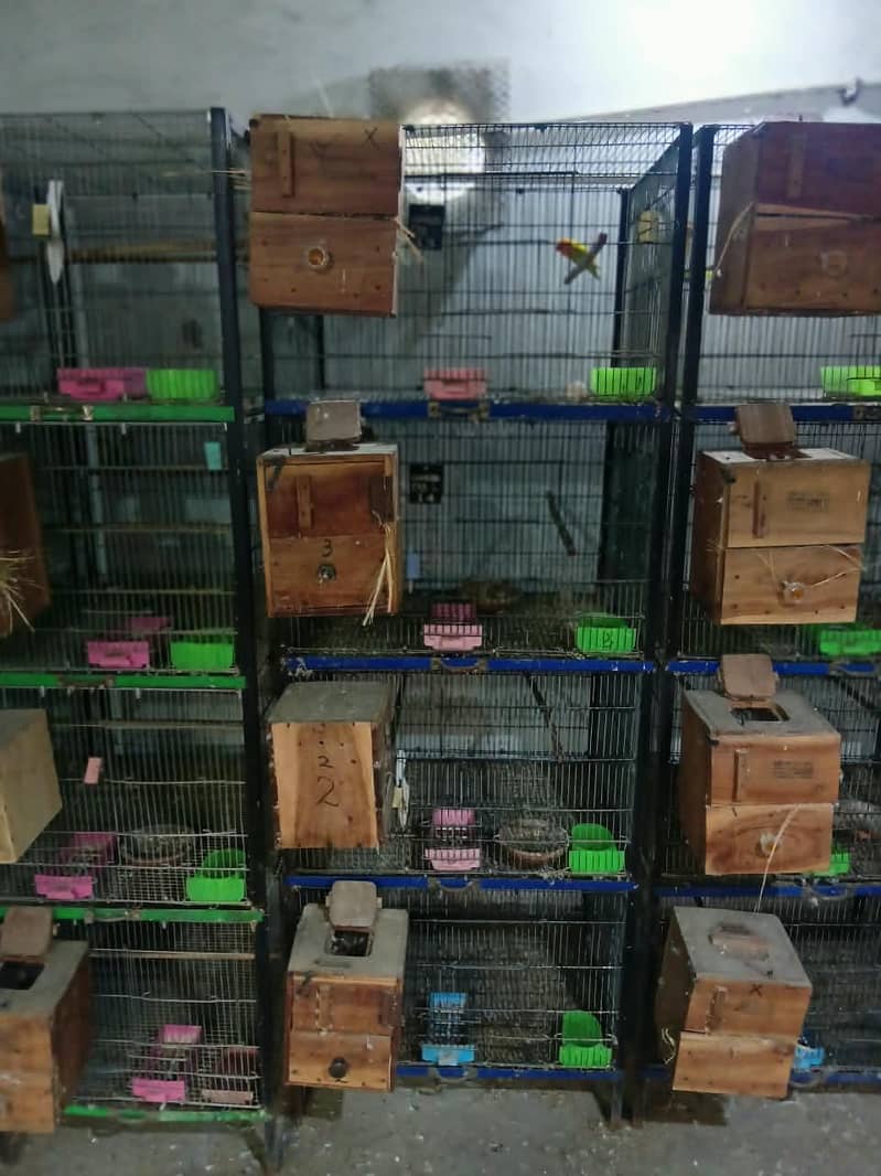 Folding Cage 0