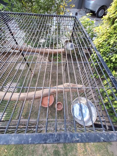 Bird Cage for sale -Good Condition