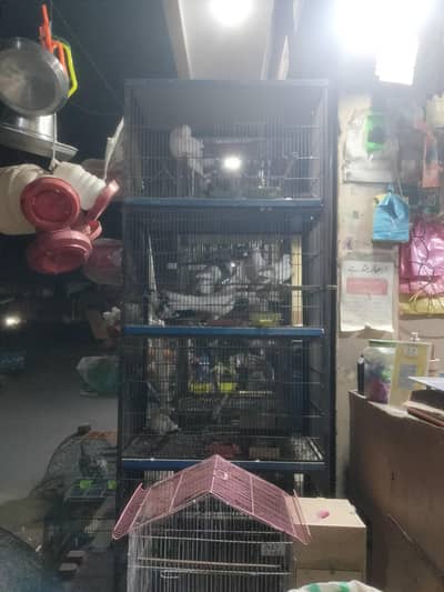 cage  ujent sale 03143119903