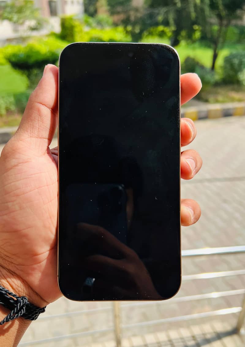 Apple iPhone 16 Pro Max 1