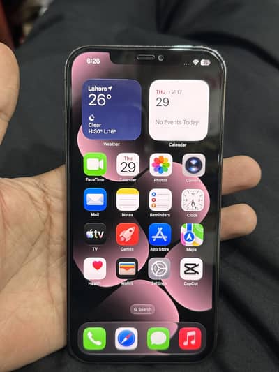 Apple iPhone 12 Pro Max