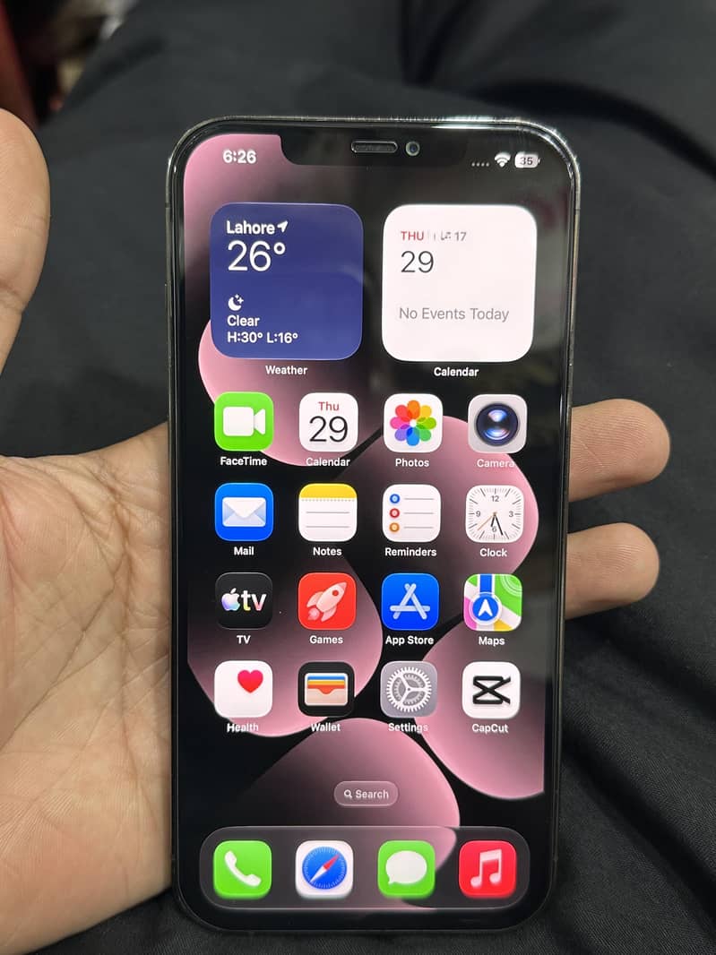Apple iPhone 12 Pro Max 0