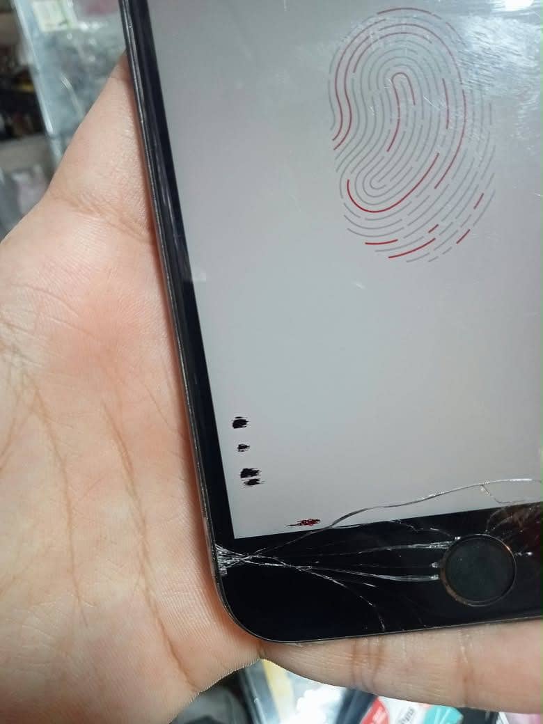 Apple iPhone 8 Plus 0