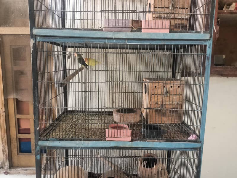 pinjry sell 1