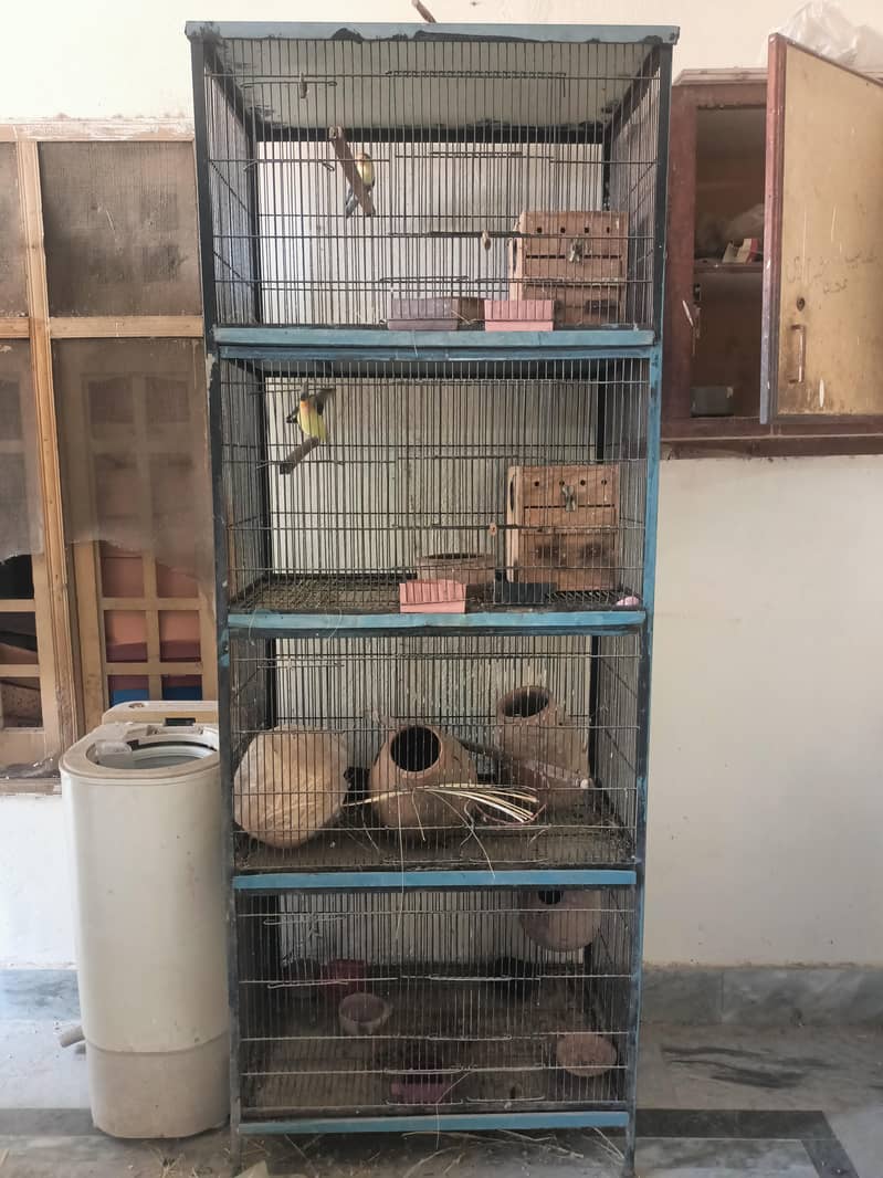 pinjry sell 6