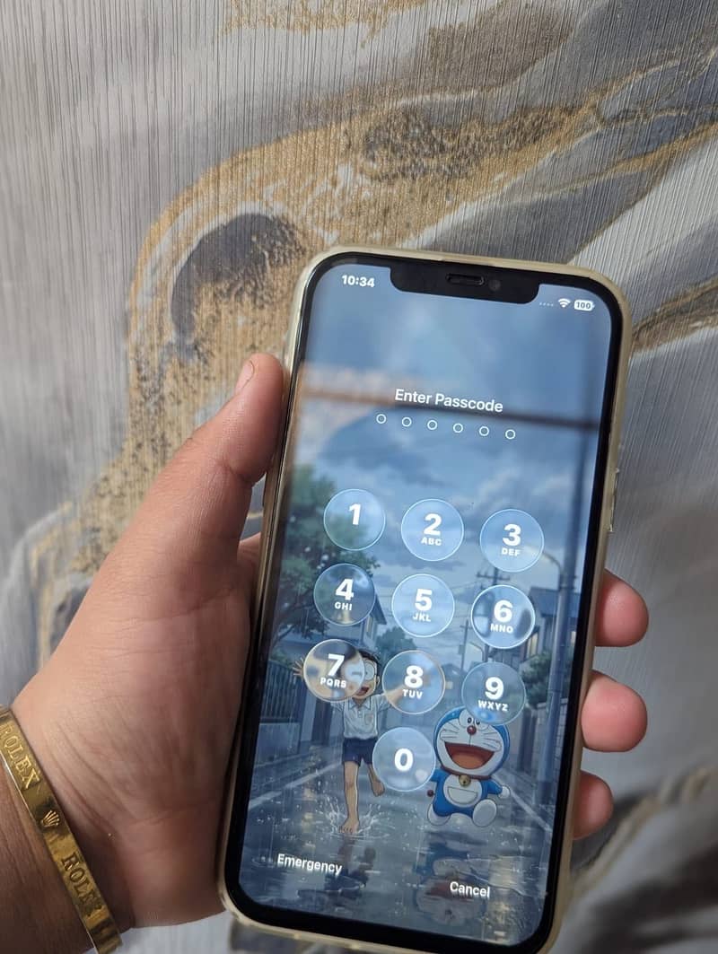 Apple iPhone 12 Pro Max 1