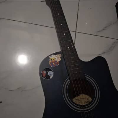 Acoustic Guitar