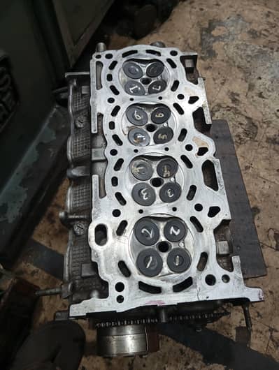 xli jenone condition head